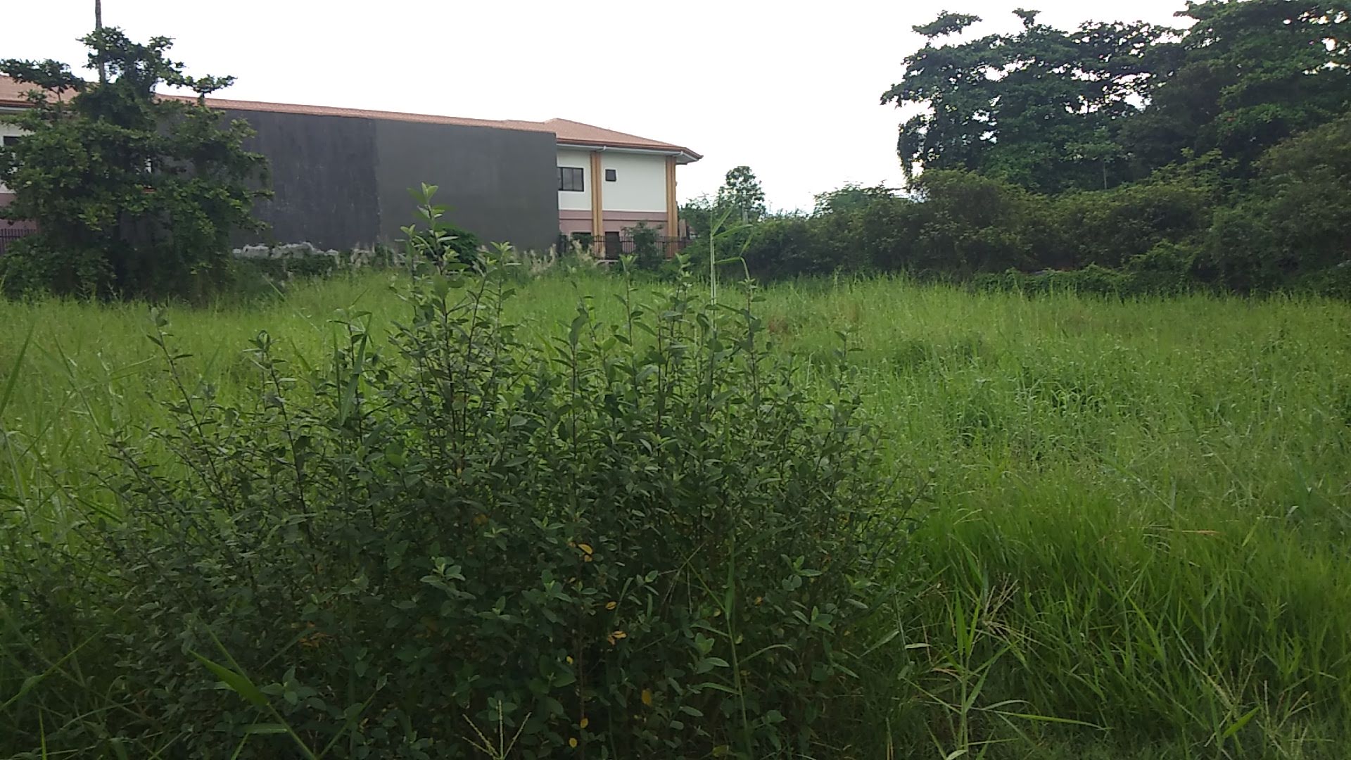 residential-vacant-lot-in-pooc-talisay-3000-sqm