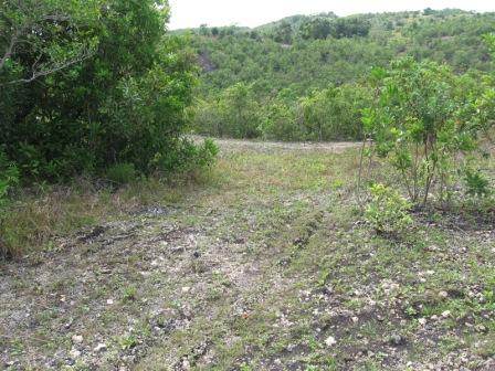 for-sale-lot-located-in-baclayon-bohol-with-mountain-and-sea-views-31500sqm