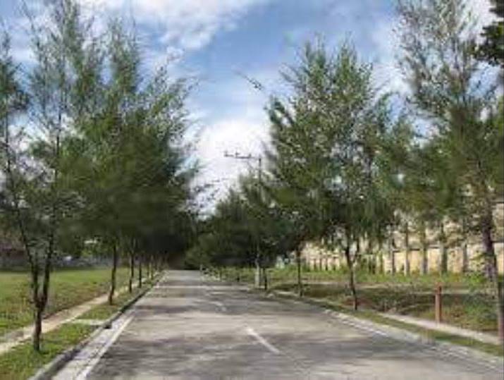subdivision-lot-for-sale-in-liloan-cebu-257-square-meters