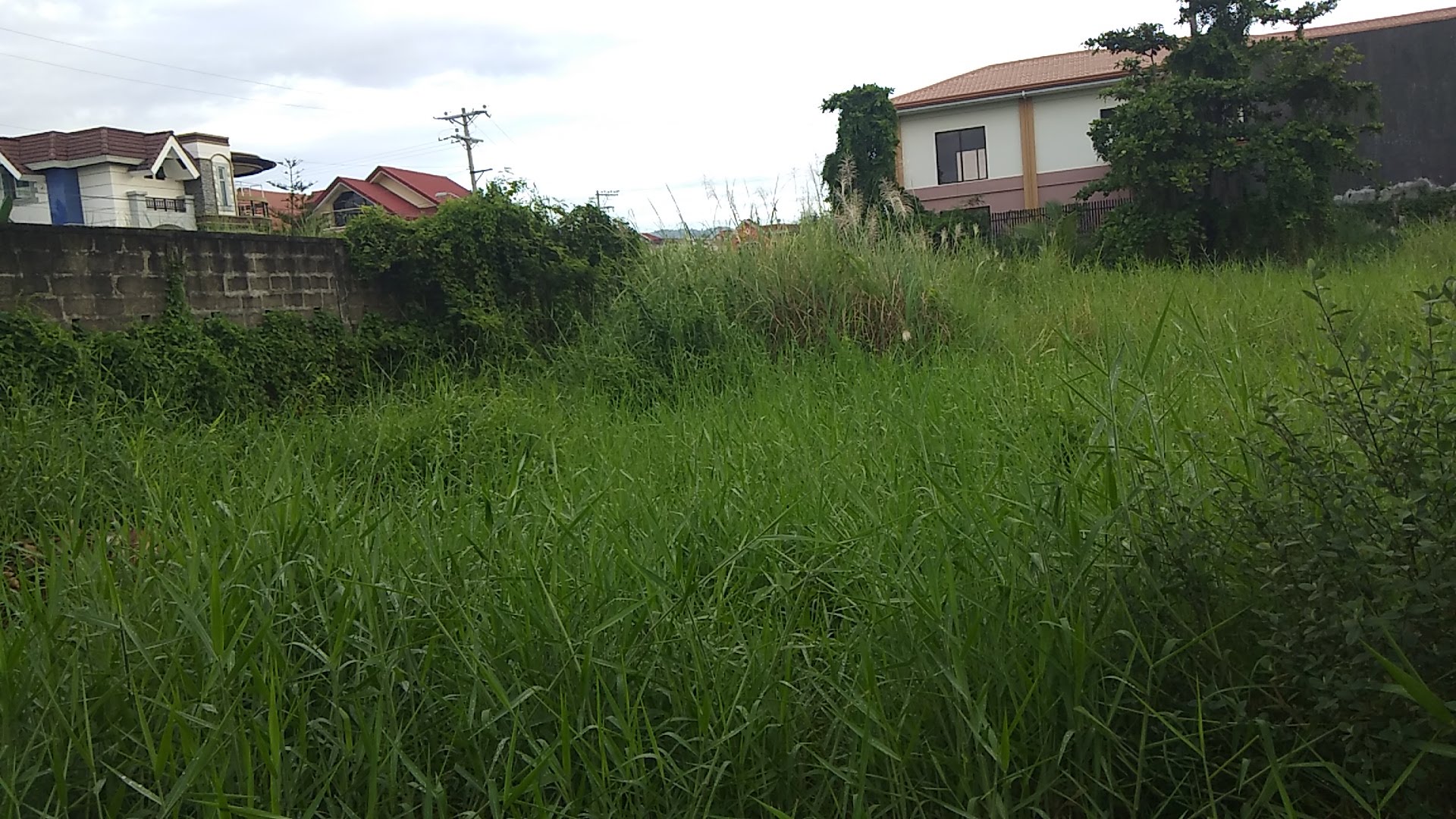 residential-vacant-lot-in-pooc-talisay-3000-sqm