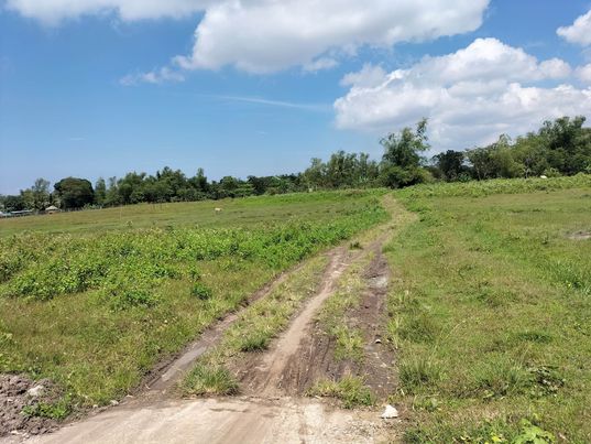 lot-for-sale-best-for-pocket-subdivision-or-warehouse-project-in-bacolod-city