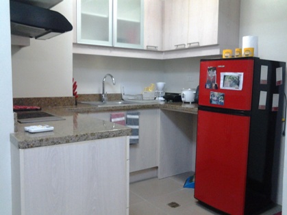 asia-premier-residences-condominium-for-rent-in-lahug-cebu-city-5282-sqm