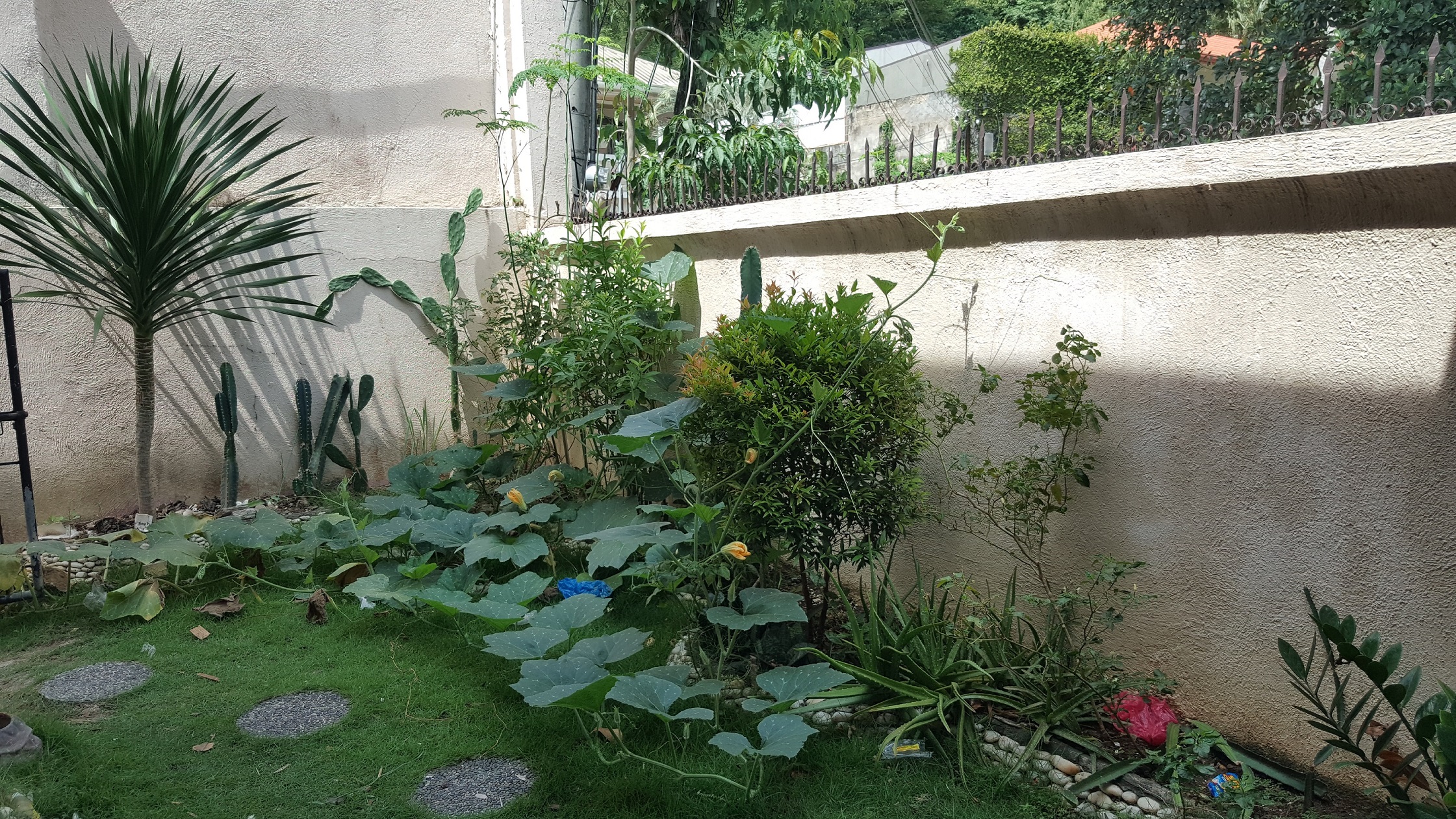 semi-furnished-house-and-lot-located-in-banilad-cebu-city