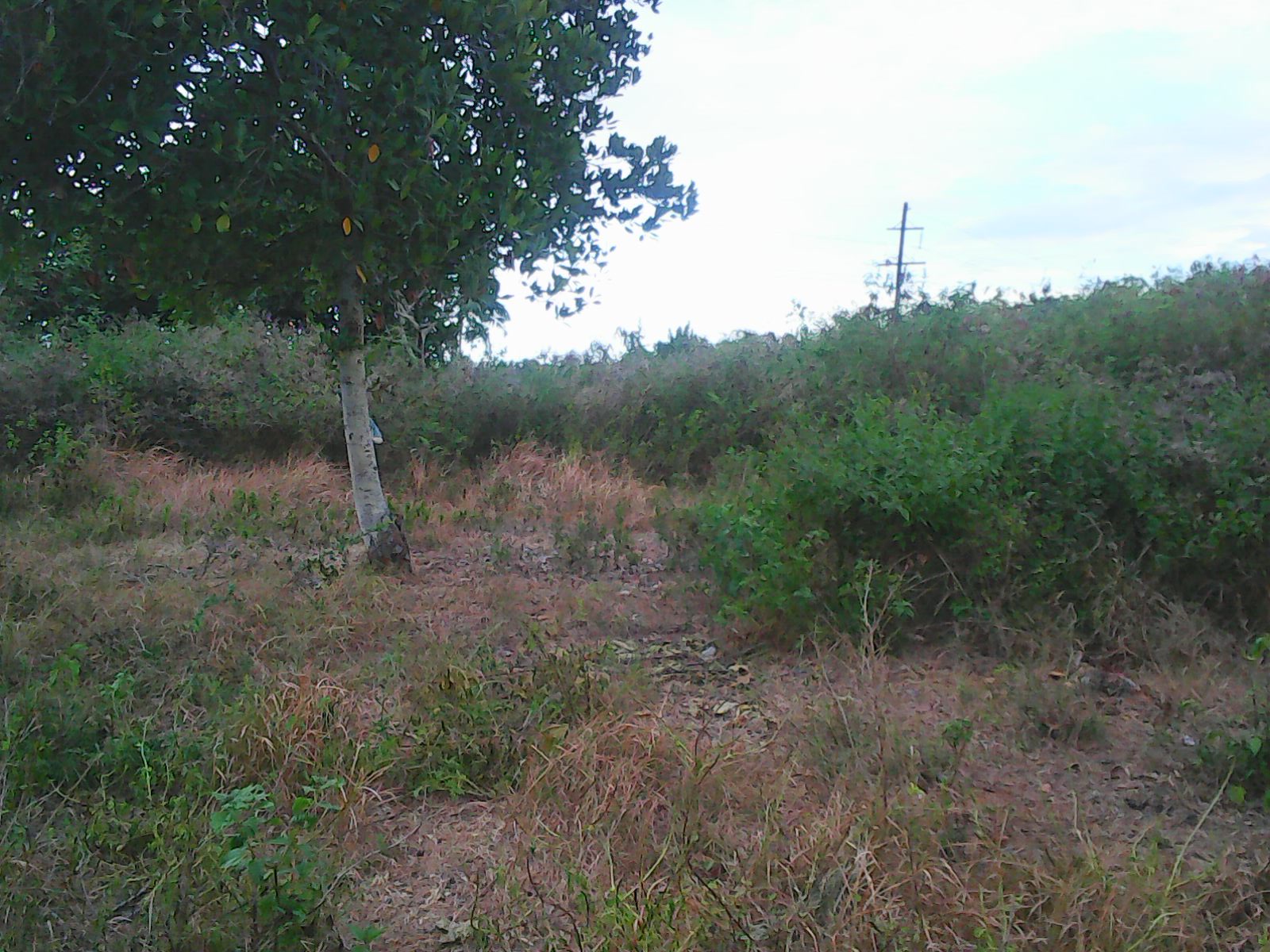 industrial-lot-for-lease-in-liloan-cebu-17-hectares