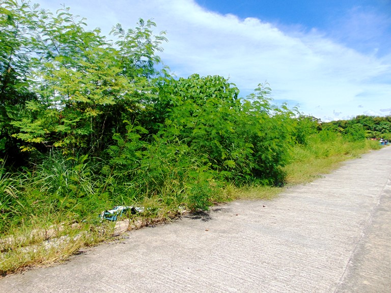 residential-lot-for-sale-in-talisay-cebu